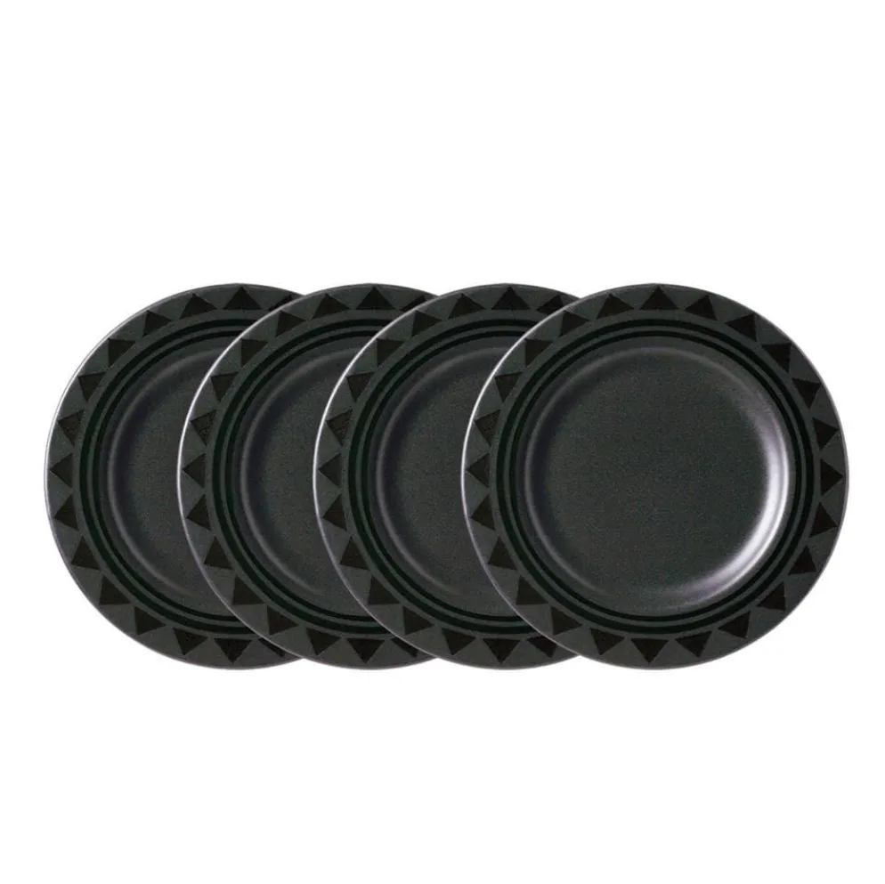 Midnight Sun® Set of 4 Dinner Plates
