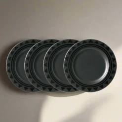 Midnight Sun® Set of 4 Dinner Plates