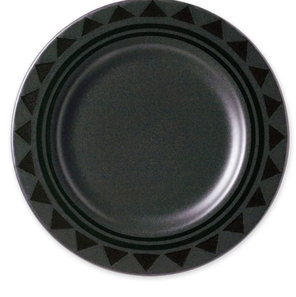 Midnight Sun® Set of 4 Dinner Plates